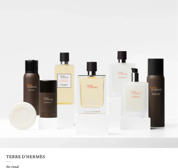 Terre D’hermes - EDT - 100ml